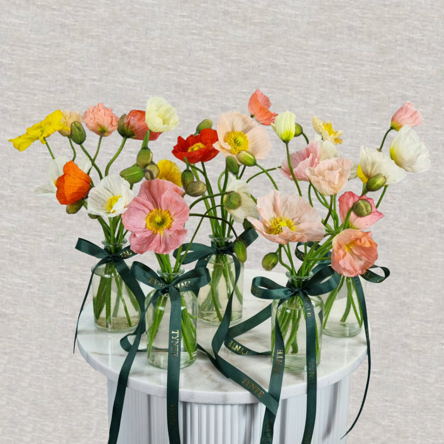 Poppy vases - 5