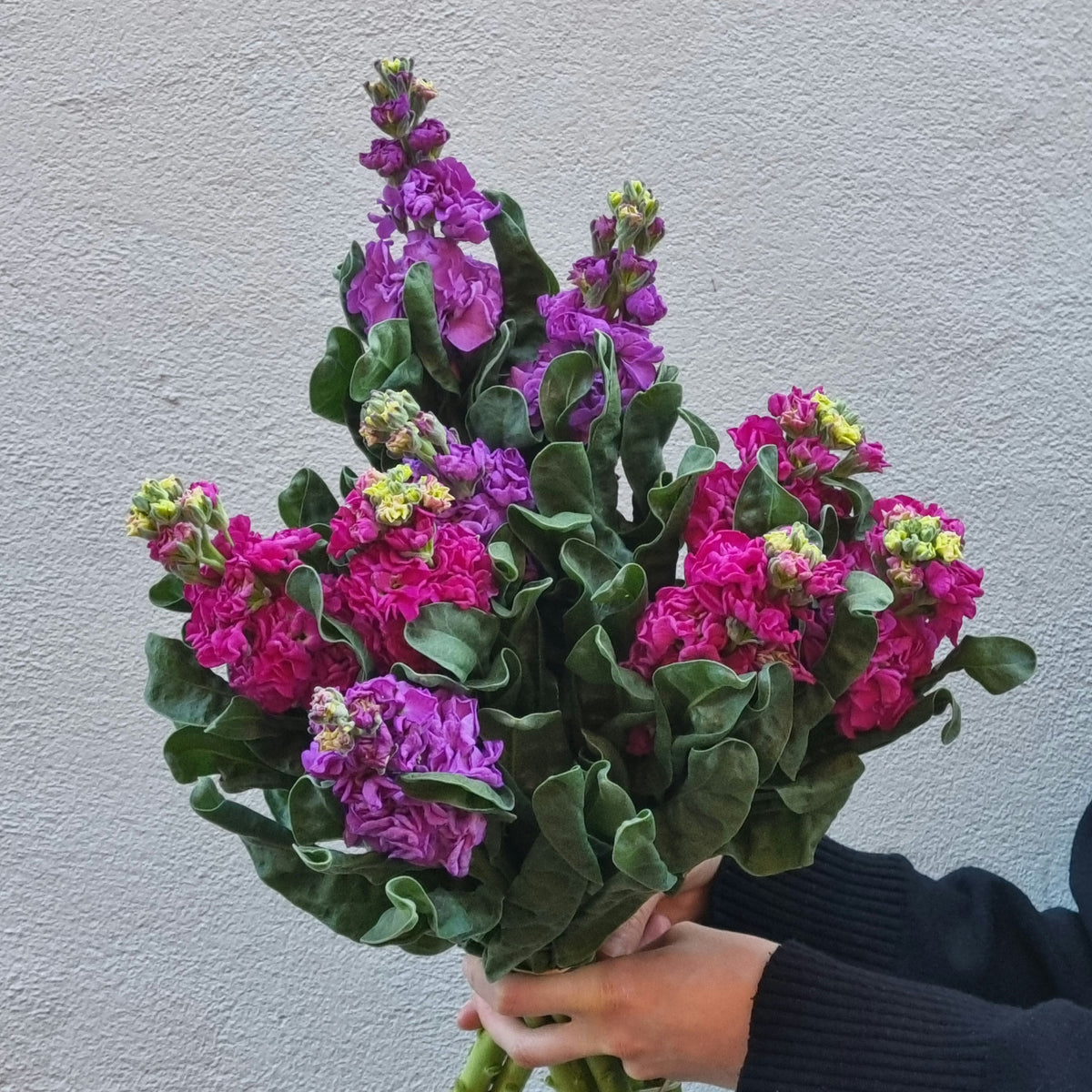Lucky Dip Stocks - 3 bunches