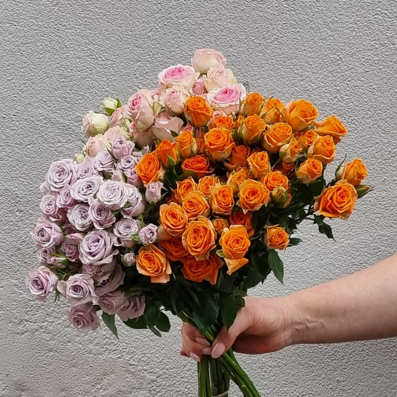 Lucky Dip Spray Roses - 3 bunches