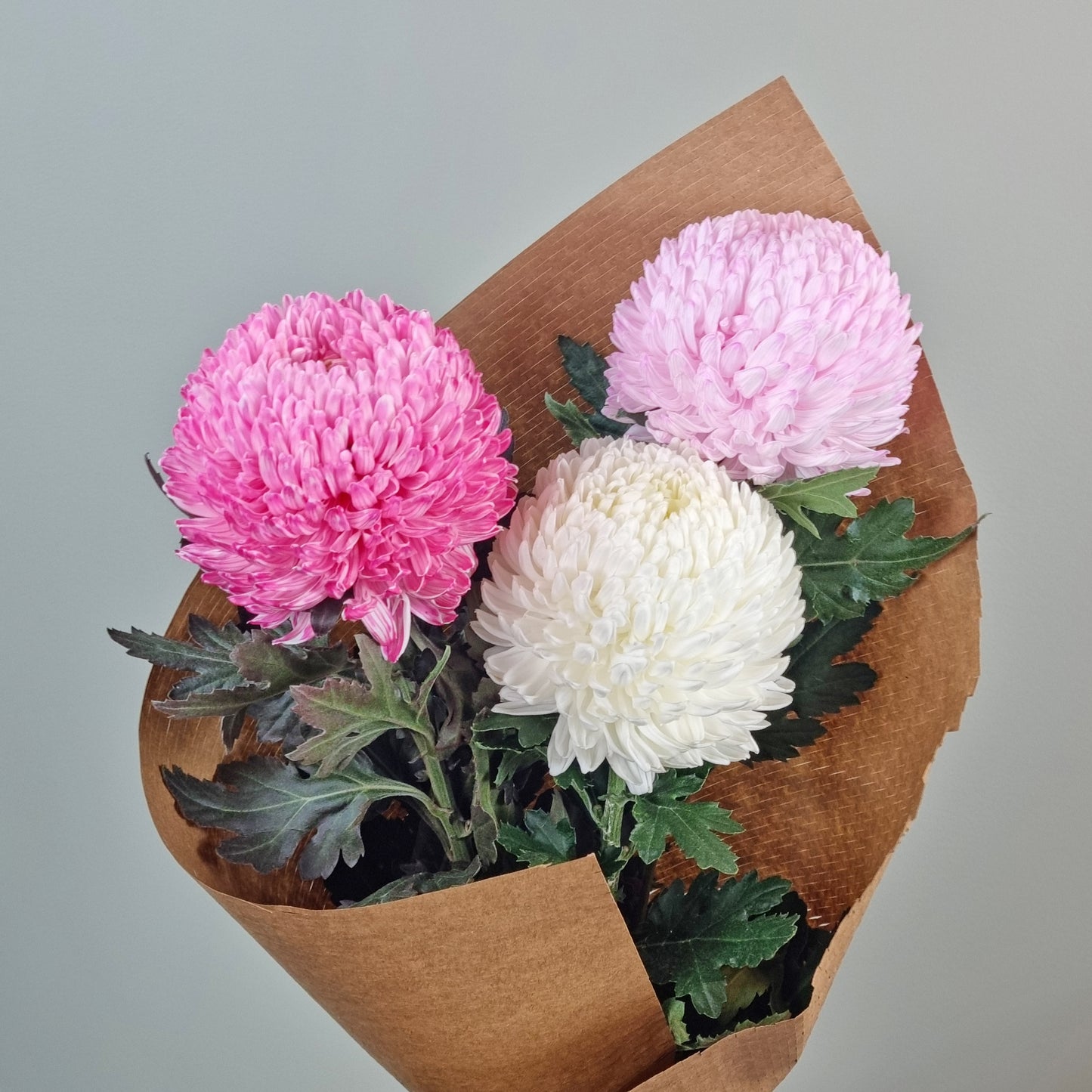 Oriental Dynasty - 1 bunch