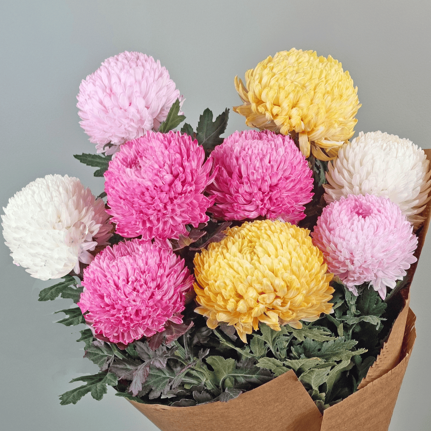 Oriental Dynasty - 3 bunches