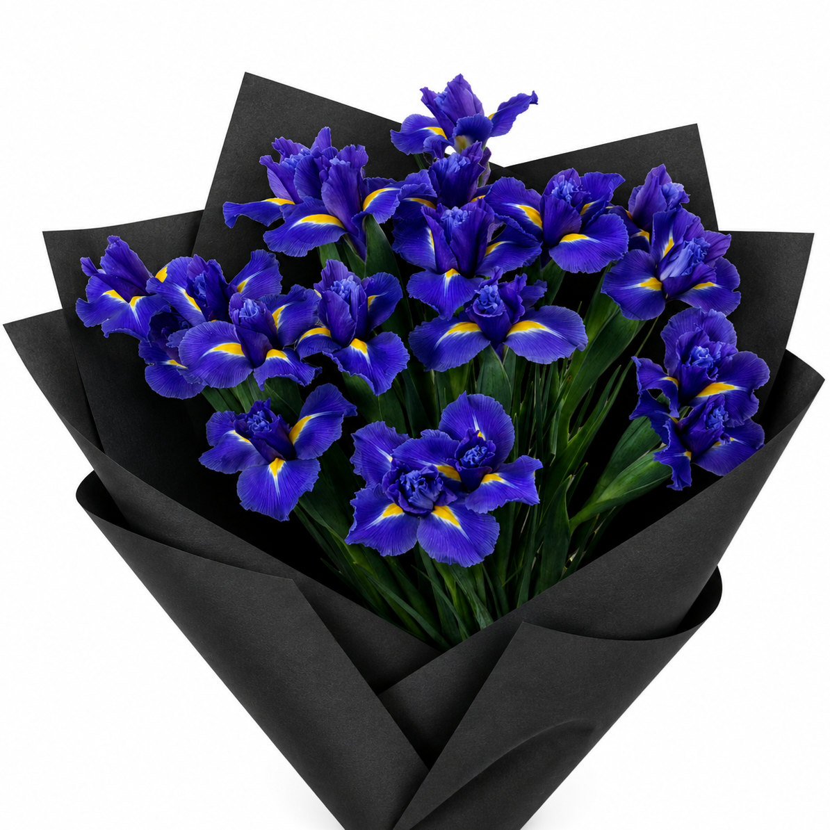 Iris - 2 bunches