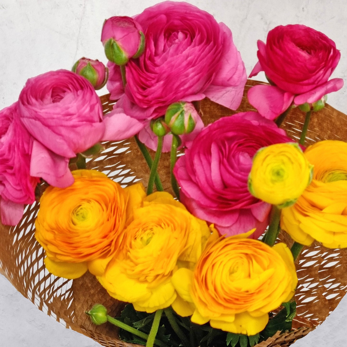 Lucky Dip Ranunculus - 2 bunches