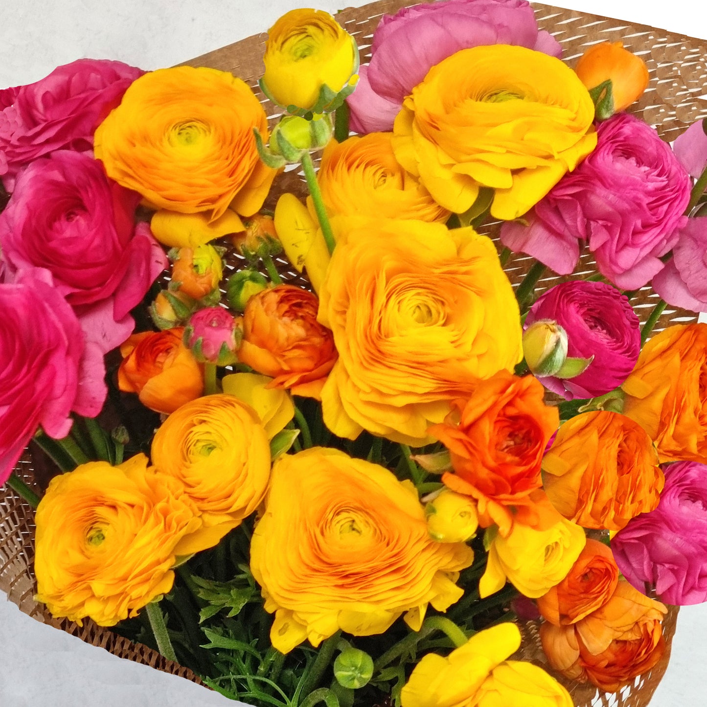 Lucky Dip Ranunculus - 5 bunches