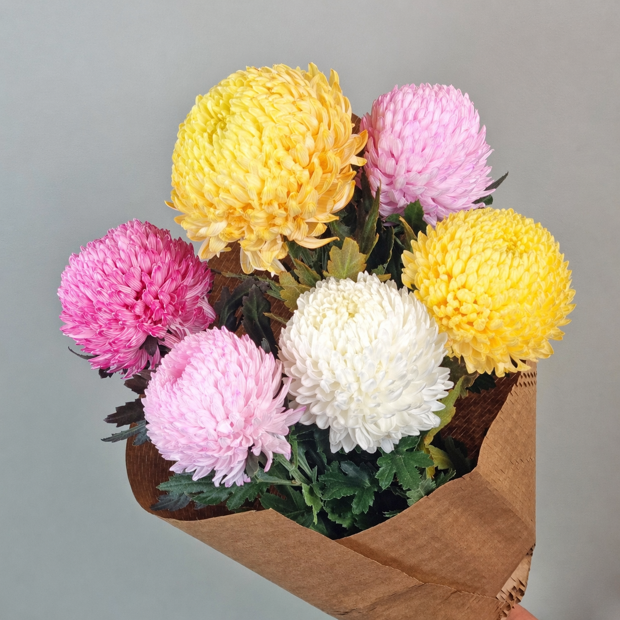 Oriental Dynasty - 2 bunches
