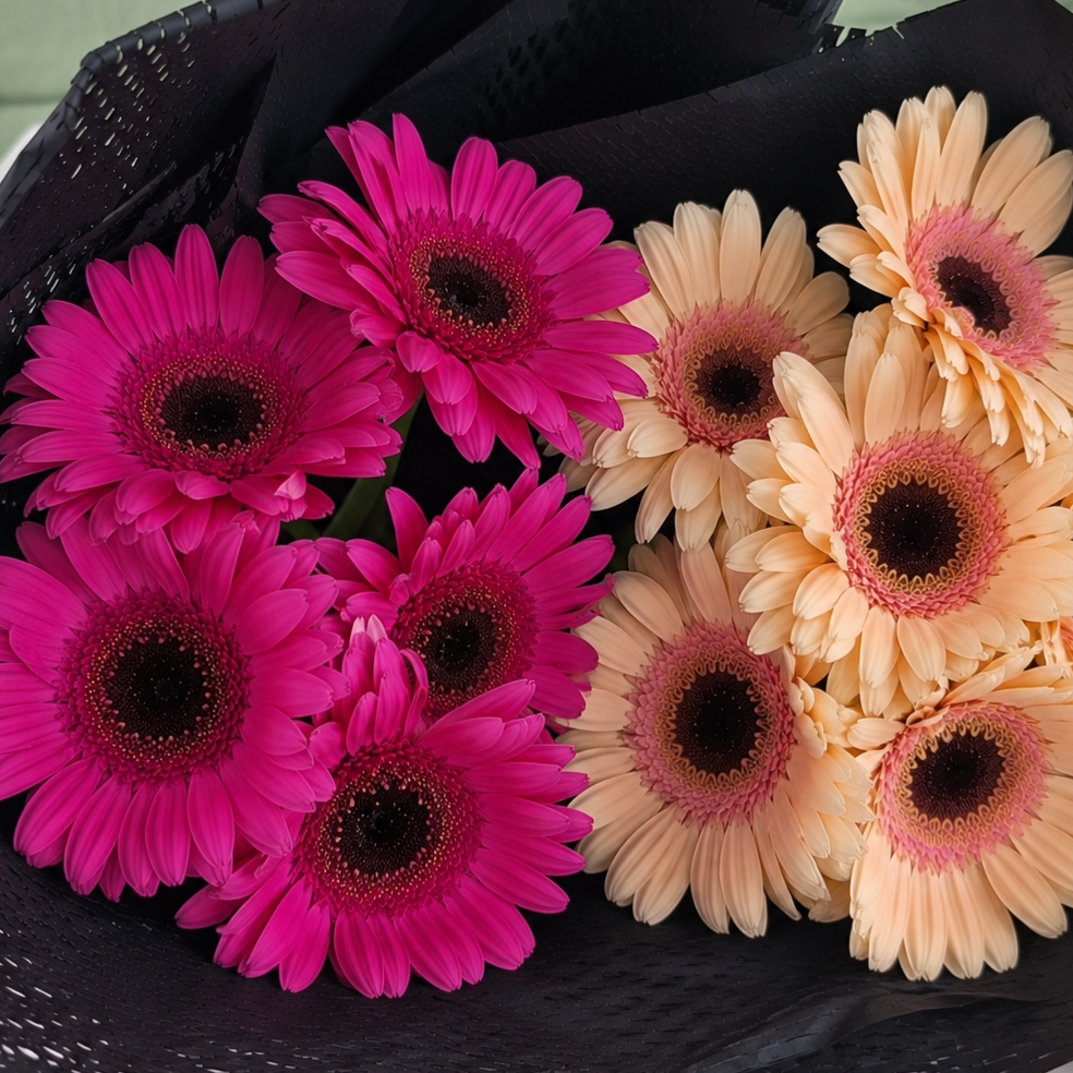 Lucky Dip Gerberas - 2 bunches