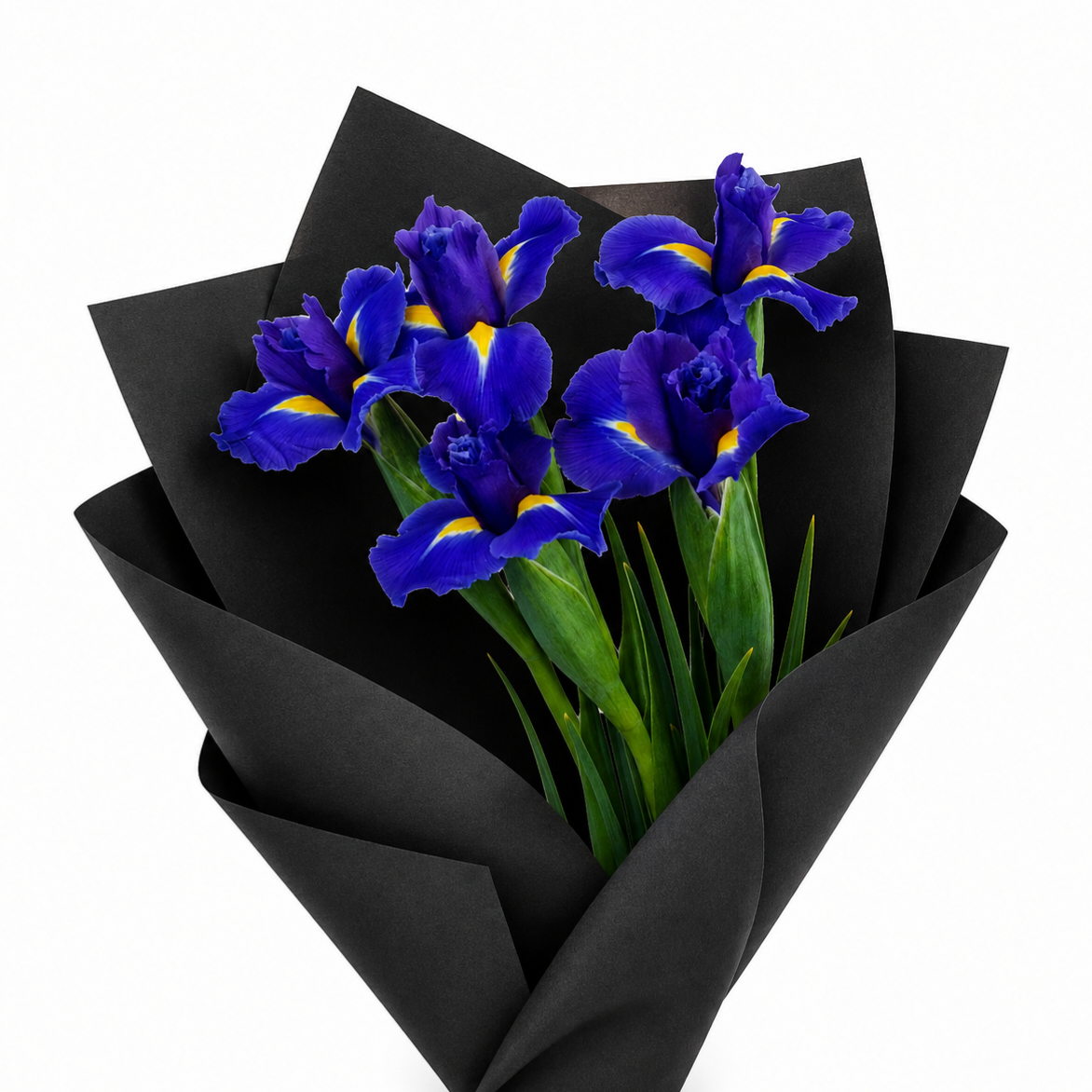 Iris - half bunch