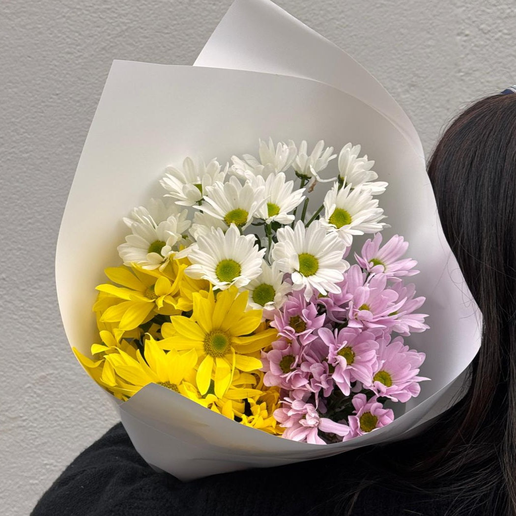 Lucky Dip Daisies - 3 bunch