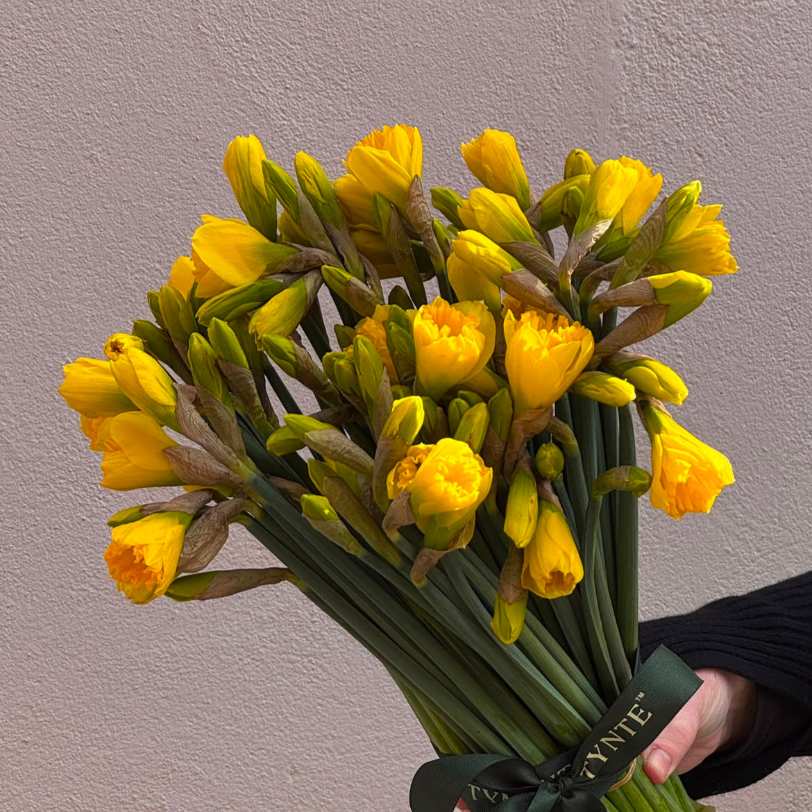 Daffodils - 10 bunches