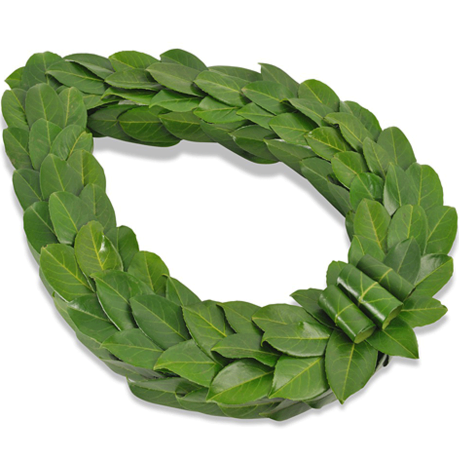 Large Chaplet