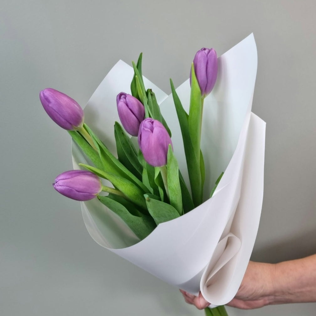 Lucky Dip Tulips - 1 bunch