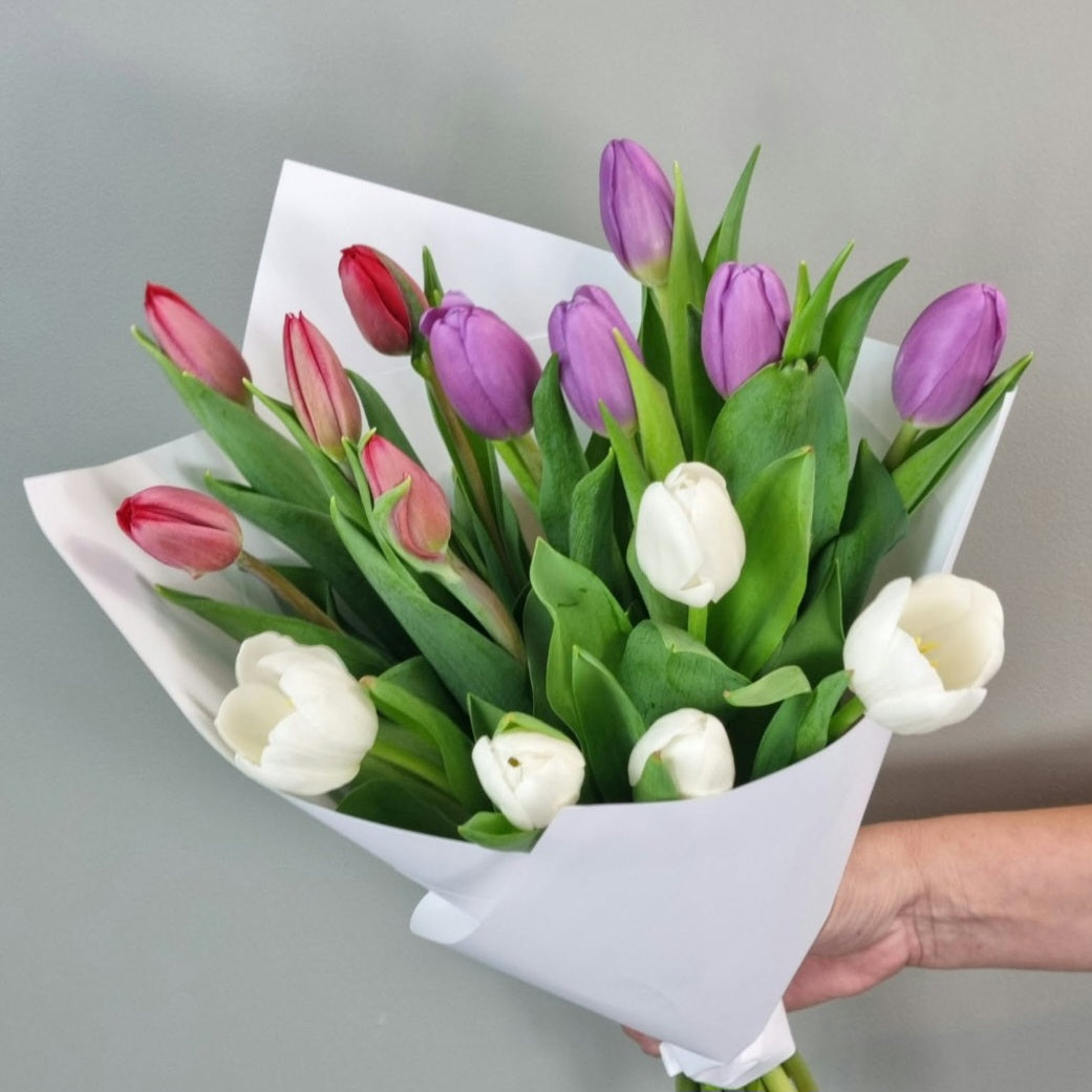 Lucky Dip Tulips - 3 bunches