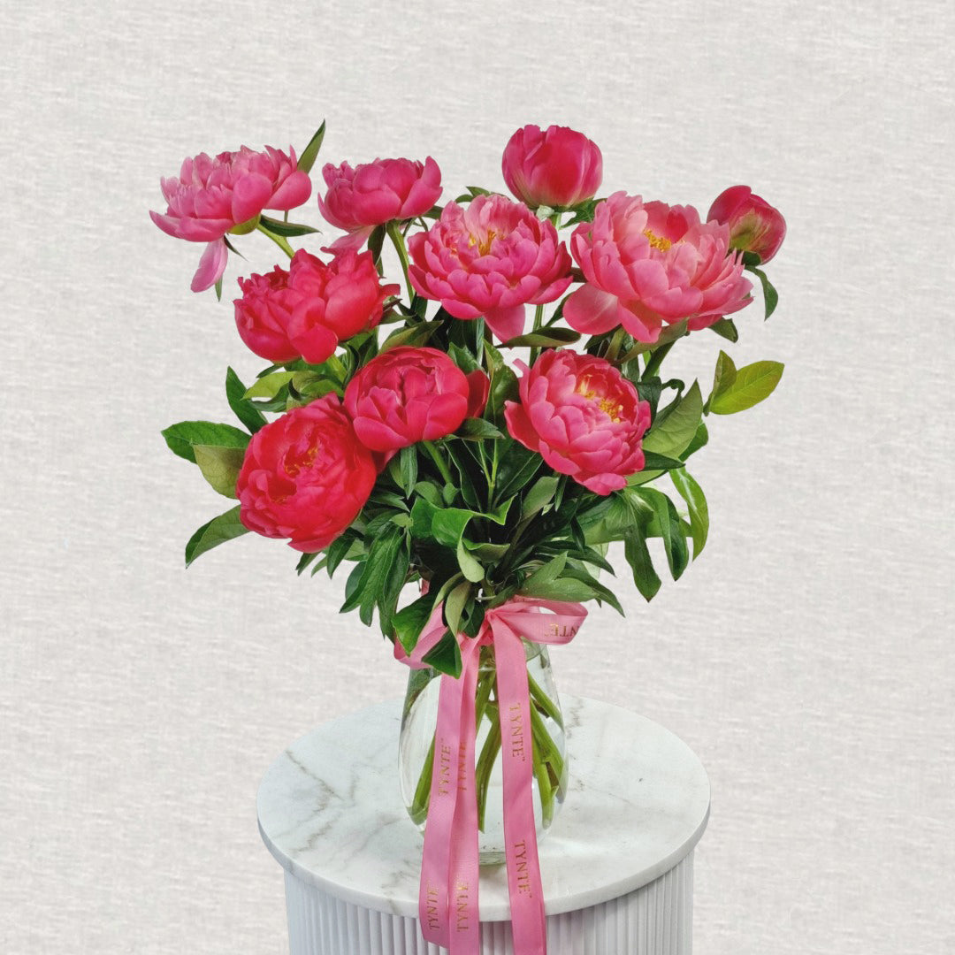 Premium Coral Charm Peonies - 10 Stem Vase