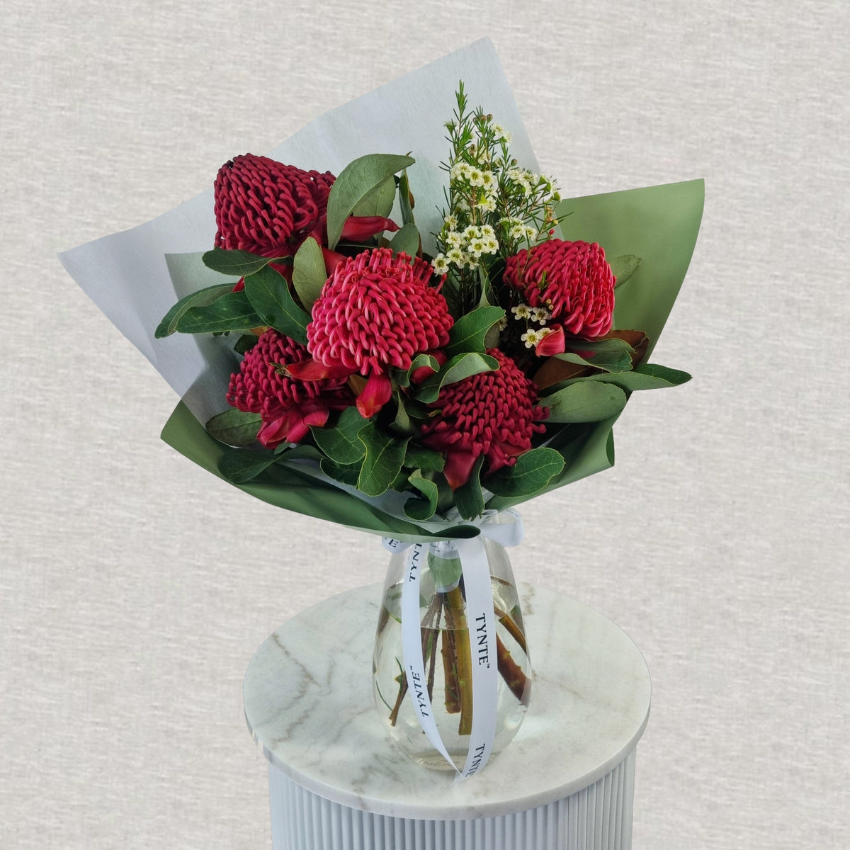 Wild Waratah Vase - 5 stem