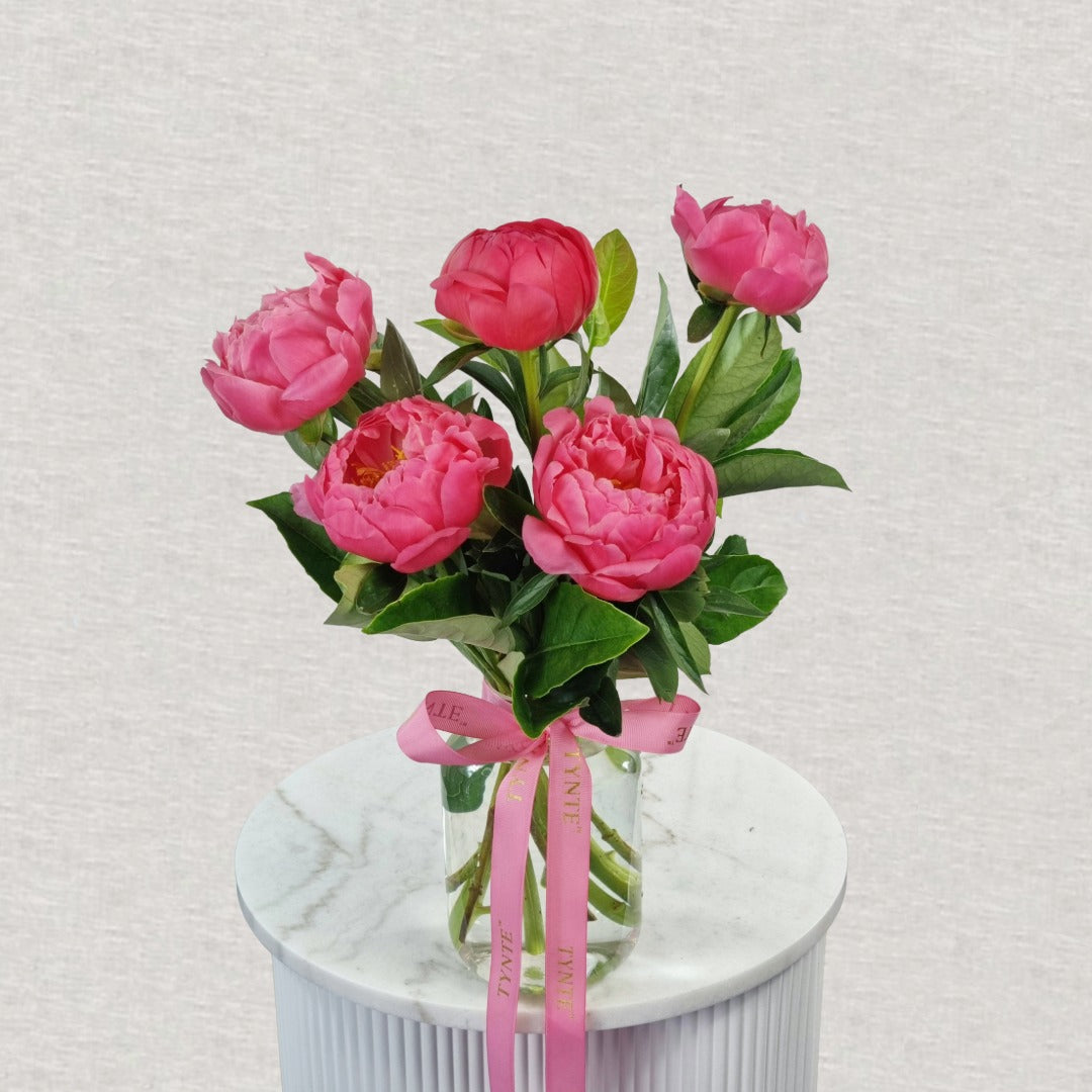 Premium Coral Charm Peonies - 5 Stem Vase