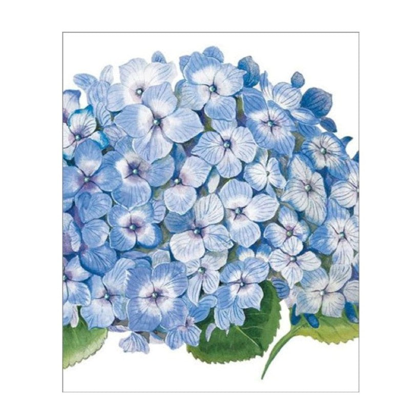 Blue Hydrangea Card