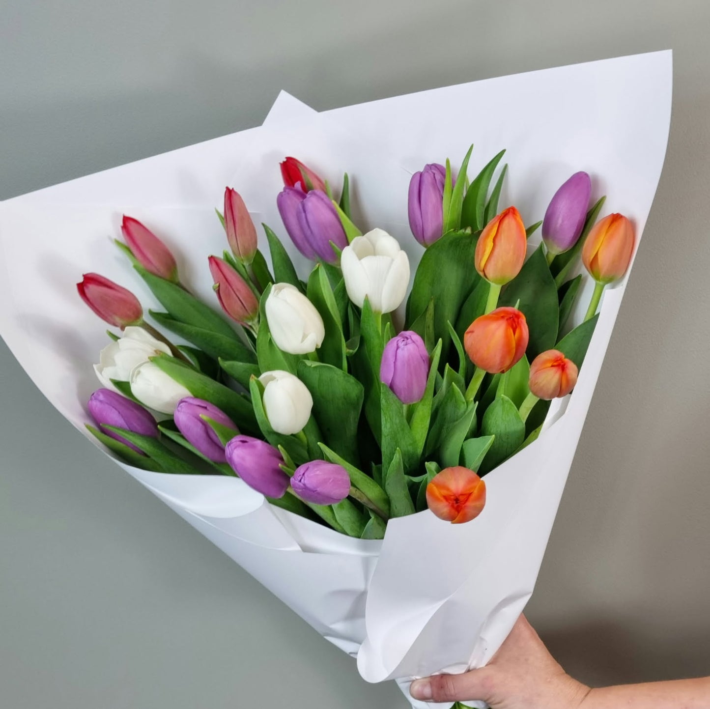 Lucky Dip Tulips - 5 bunches