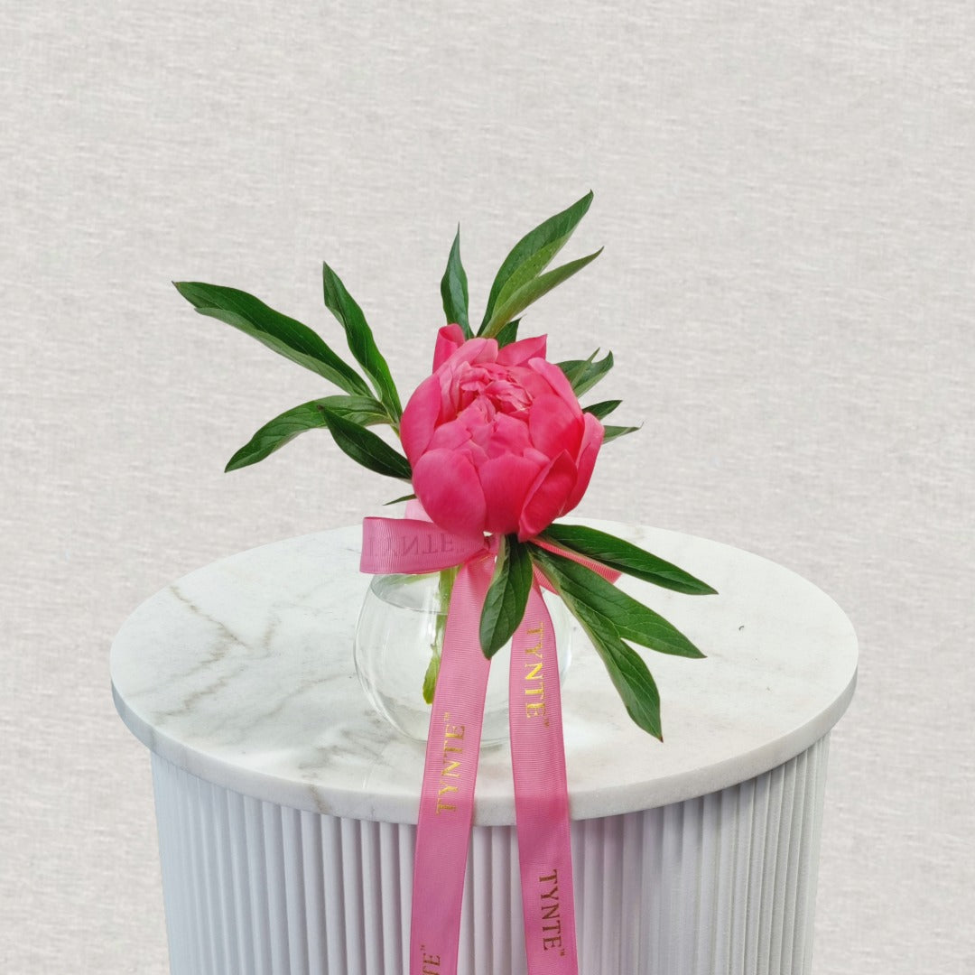 Premium Coral Charm Peonies - 1 Stem Vase