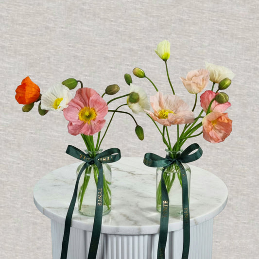 Poppy vases - 2