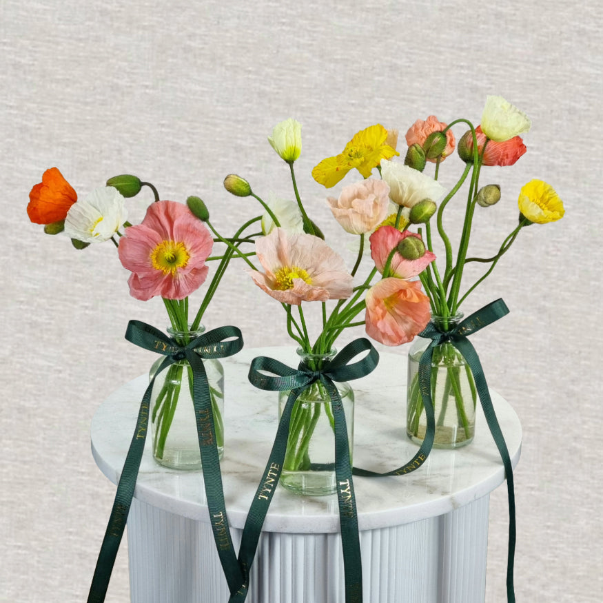 Poppy vases - 3