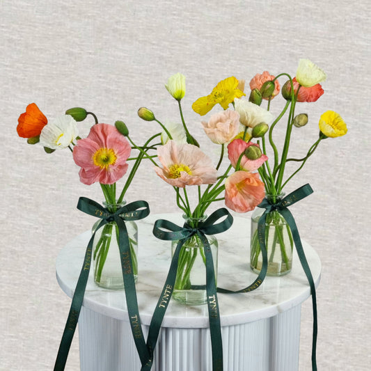 Poppy vases - 3