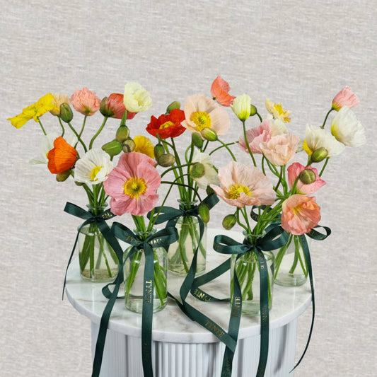 Poppy vases - 5