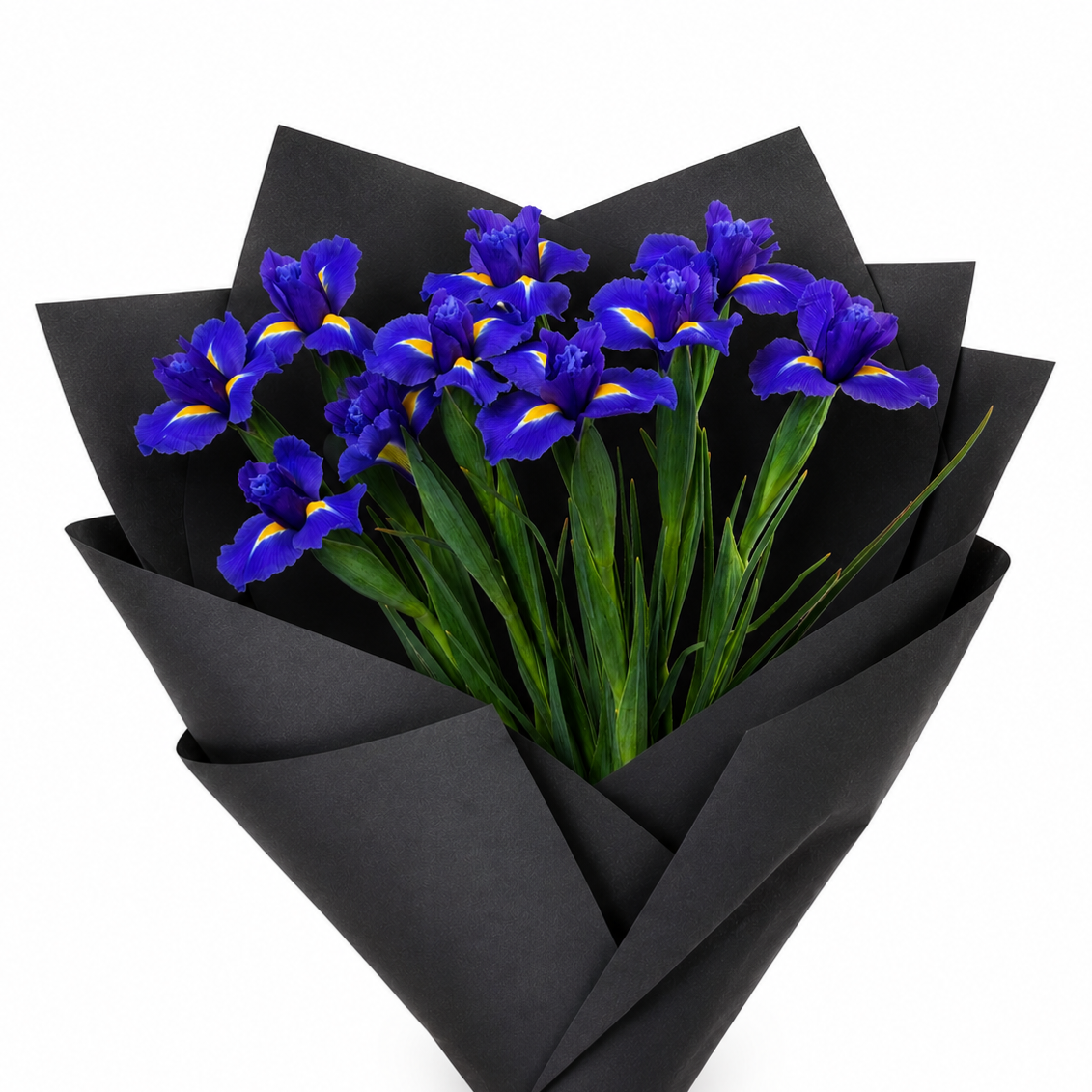 Iris - 1 bunch