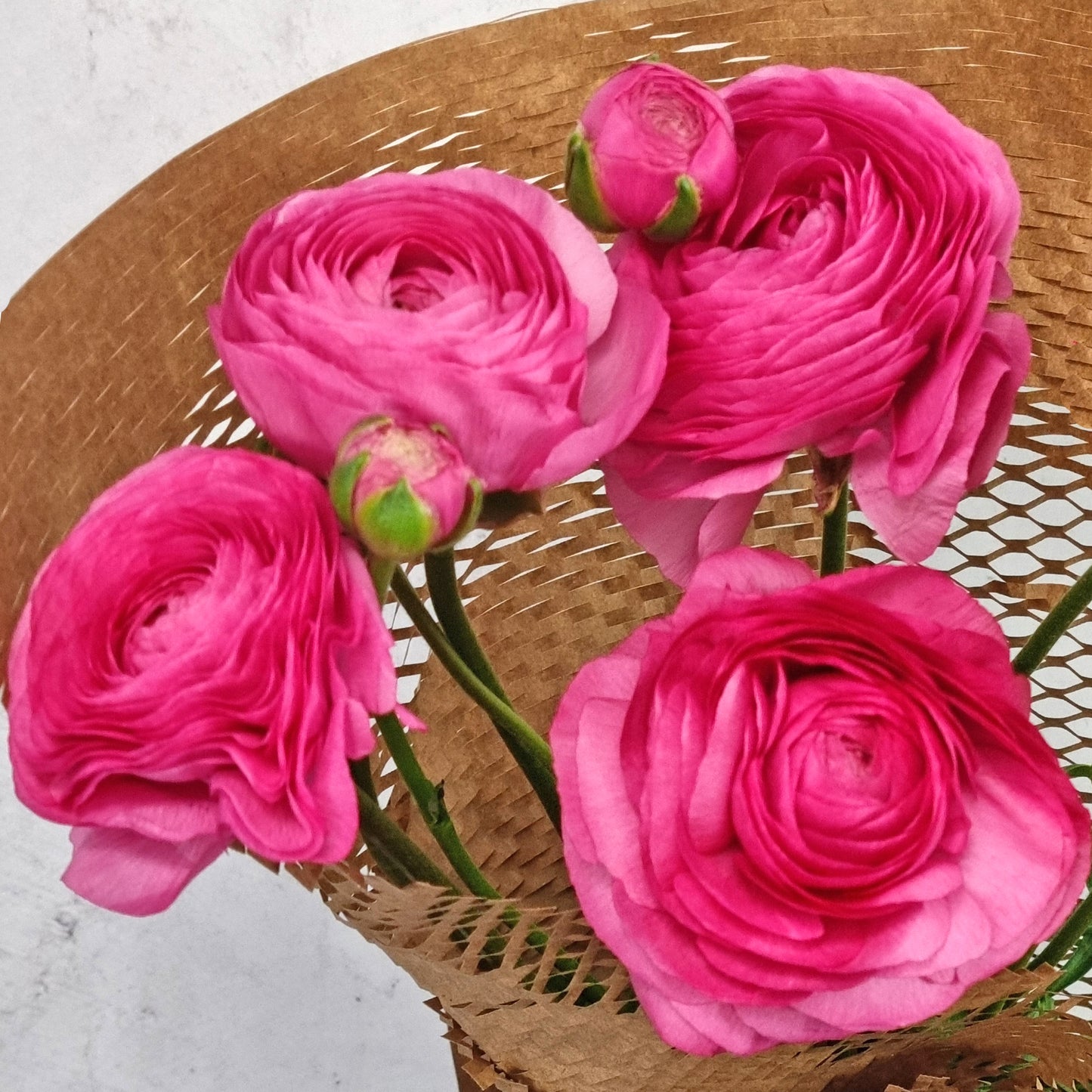 Lucky Dip Ranunculus - 1 bunch