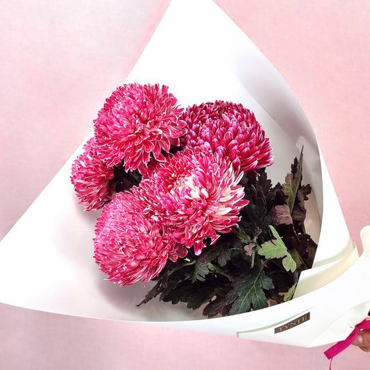 Raspberry Disbud Bouquet