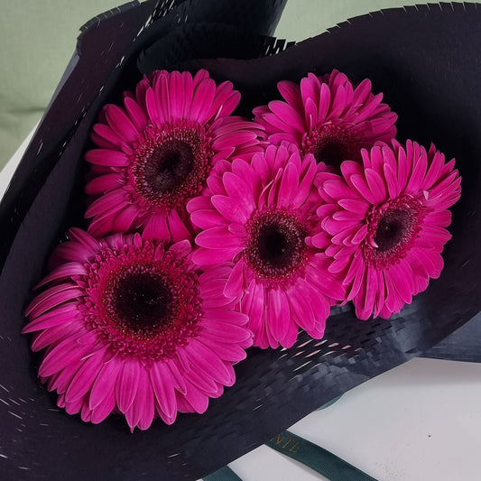 Lucky Dip Gerberas - 1 bunch