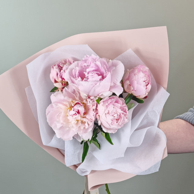 Sarah Bernhardt Peony Bouquet - 5 stems