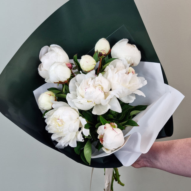 Blanc Allure Peony Bouquet - 10 stems
