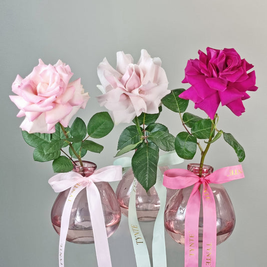 Intimate Dinner Bundle