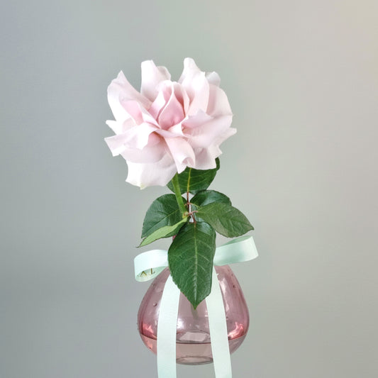 Intimate Dinner - Soft Pink