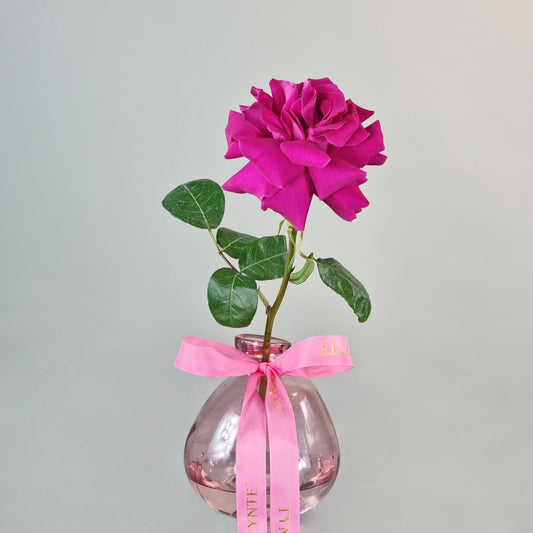 Intimate Dinner - Hot Pink