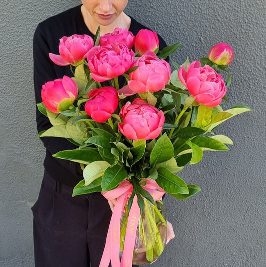 Premium Coral Charm Peonies - 10 Stem Vase