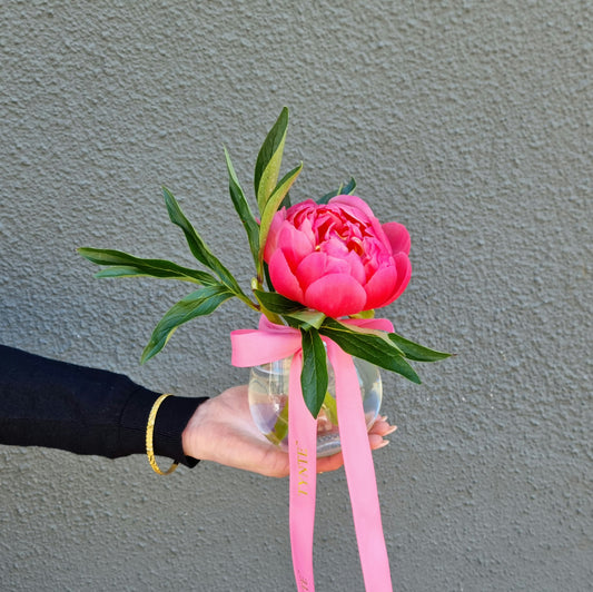 Premium Coral Charm Peonies - 1 Stem Vase