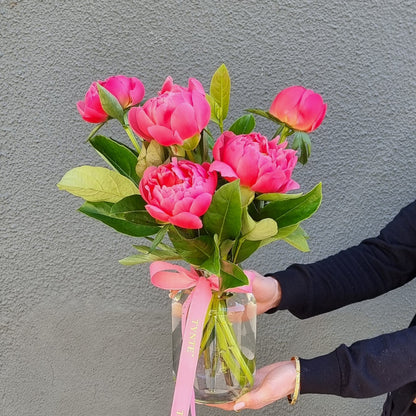 Premium Coral Charm Peonies - 5 Stem Vase
