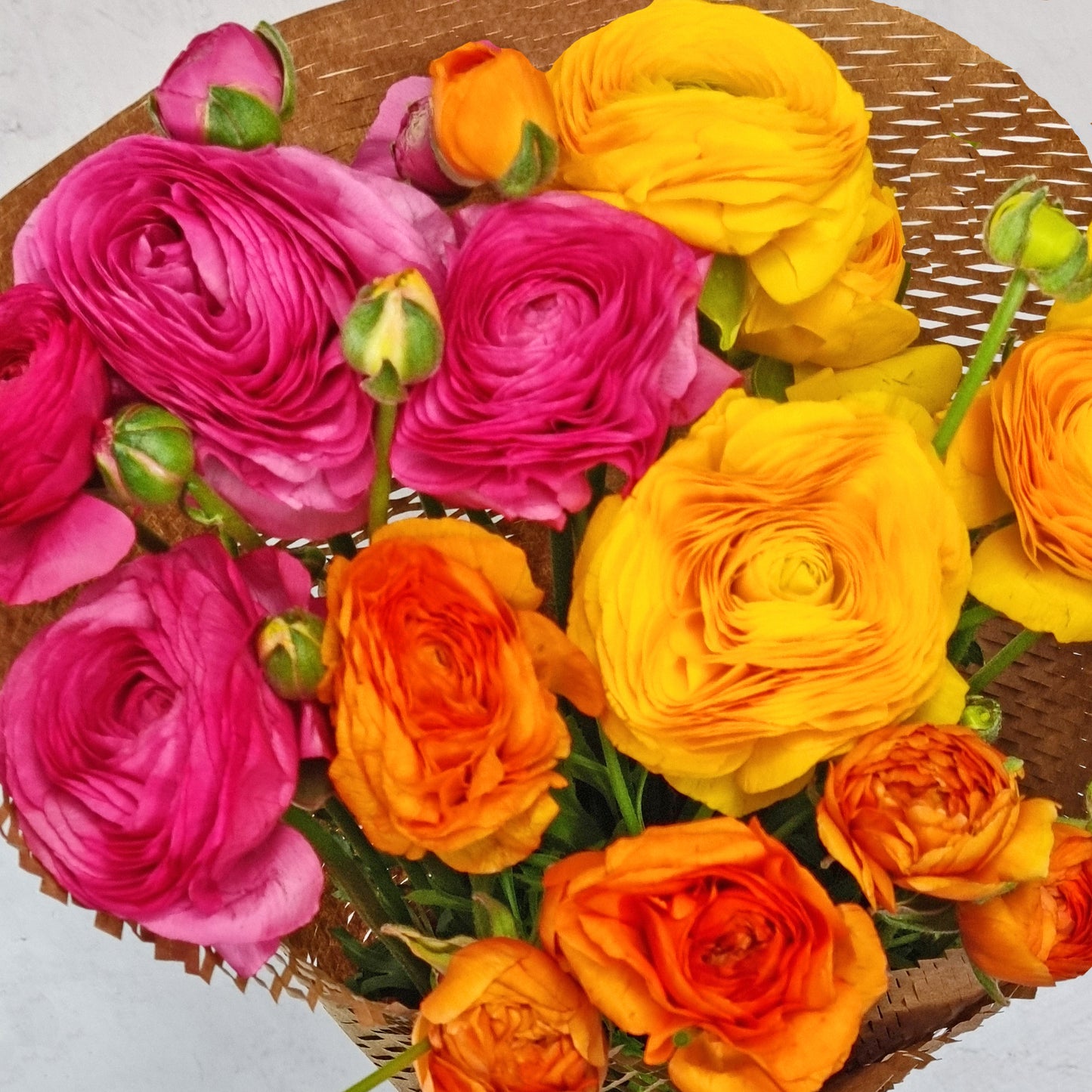 Lucky Dip Ranunculus - 3 bunches