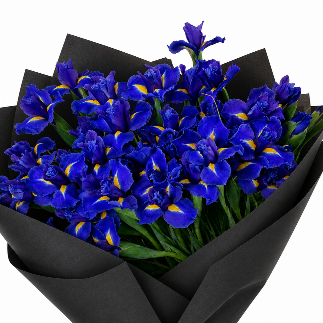 Iris - 5 bunches