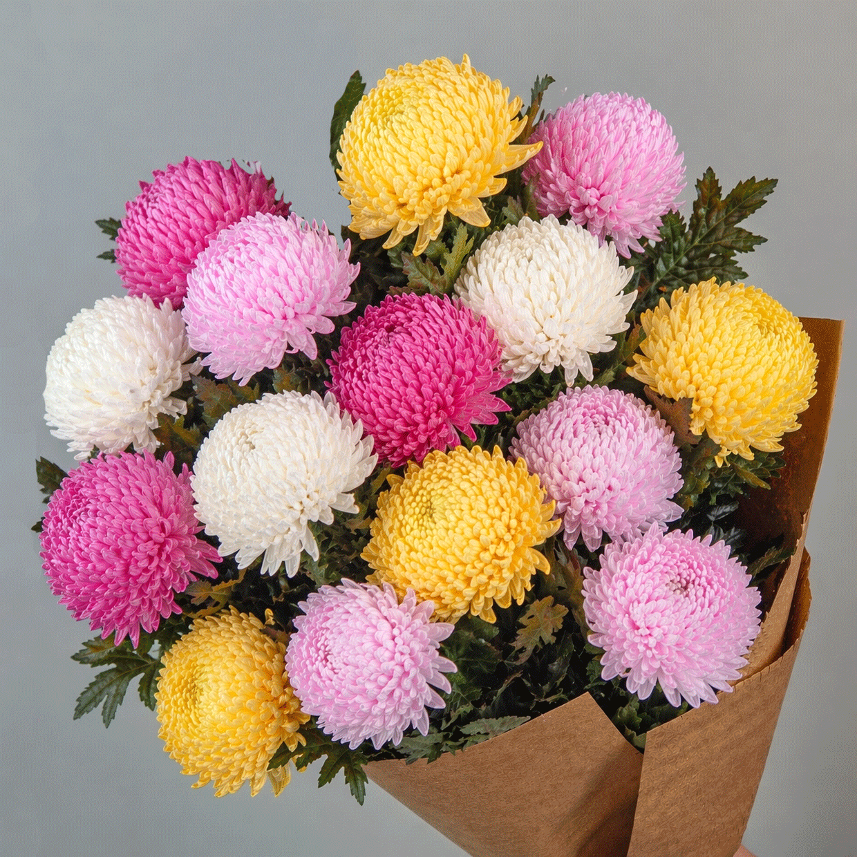 Oriental Dynasty - 5 bunches