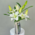 White Classic Charm Oriental Lilies