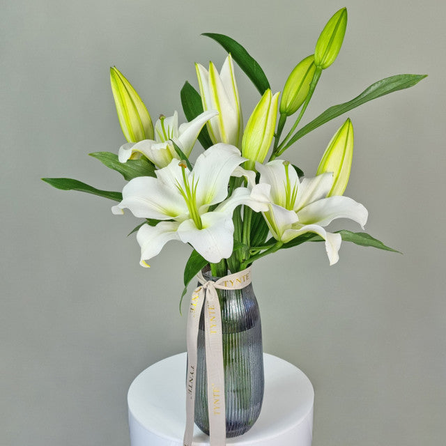 White Classic Charm Oriental Lilies