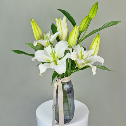 White Classic Charm Oriental Lilies