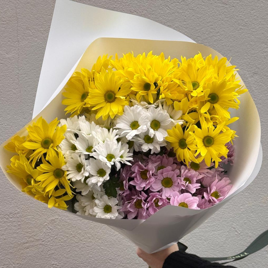 Lucky Dip Daisies - 5 bunch