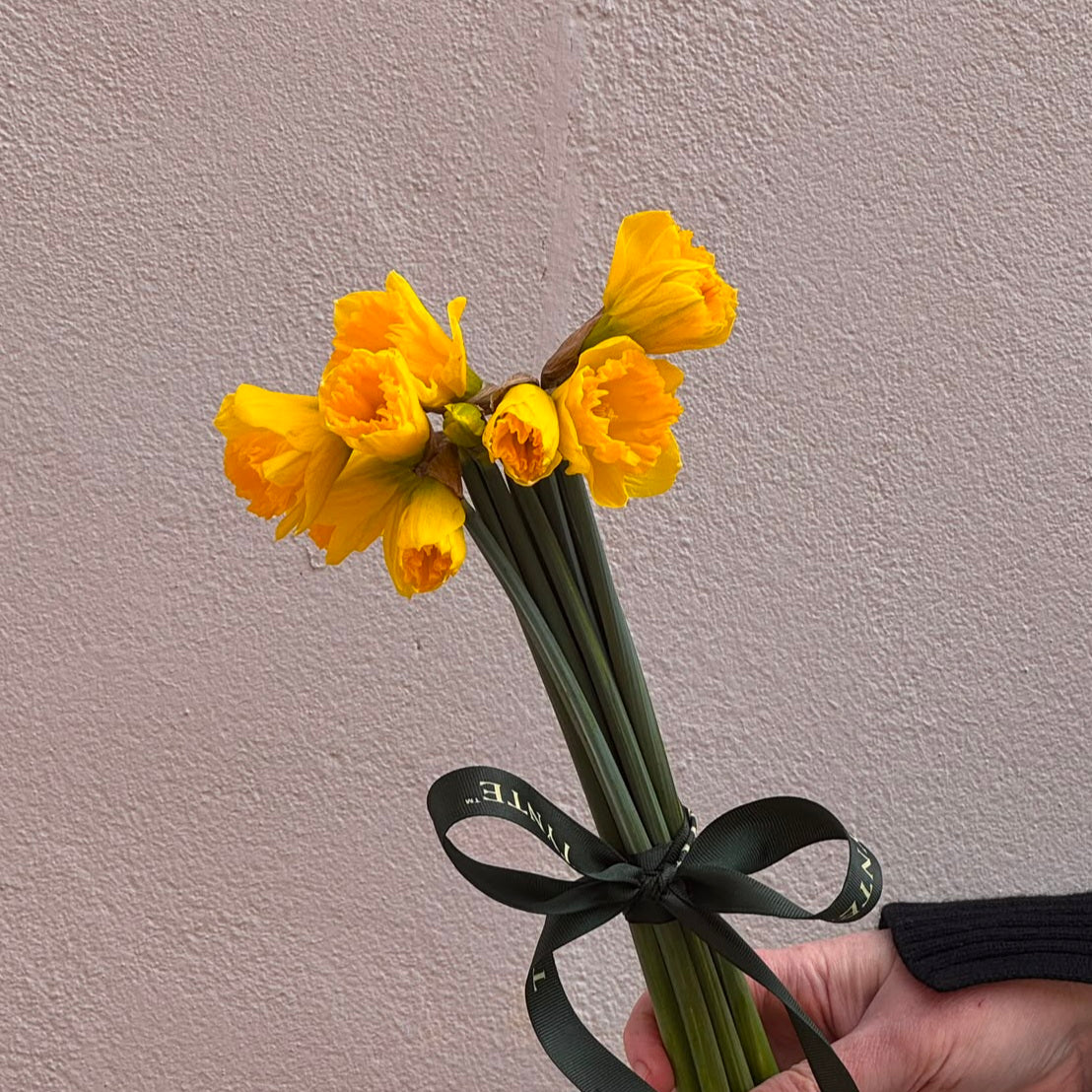 Daffodils - 1 bunch
