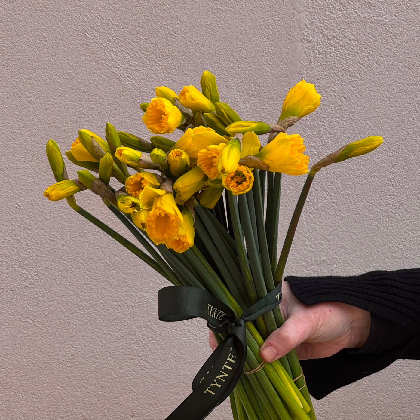 Daffodils - 5 bunches