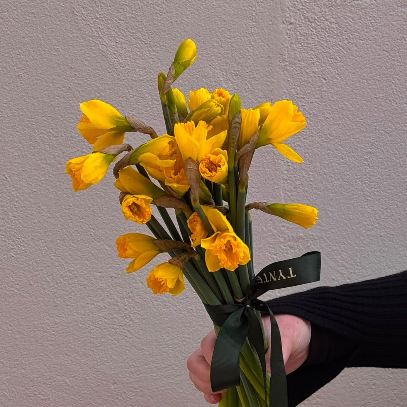 Daffodils - 3 bunches