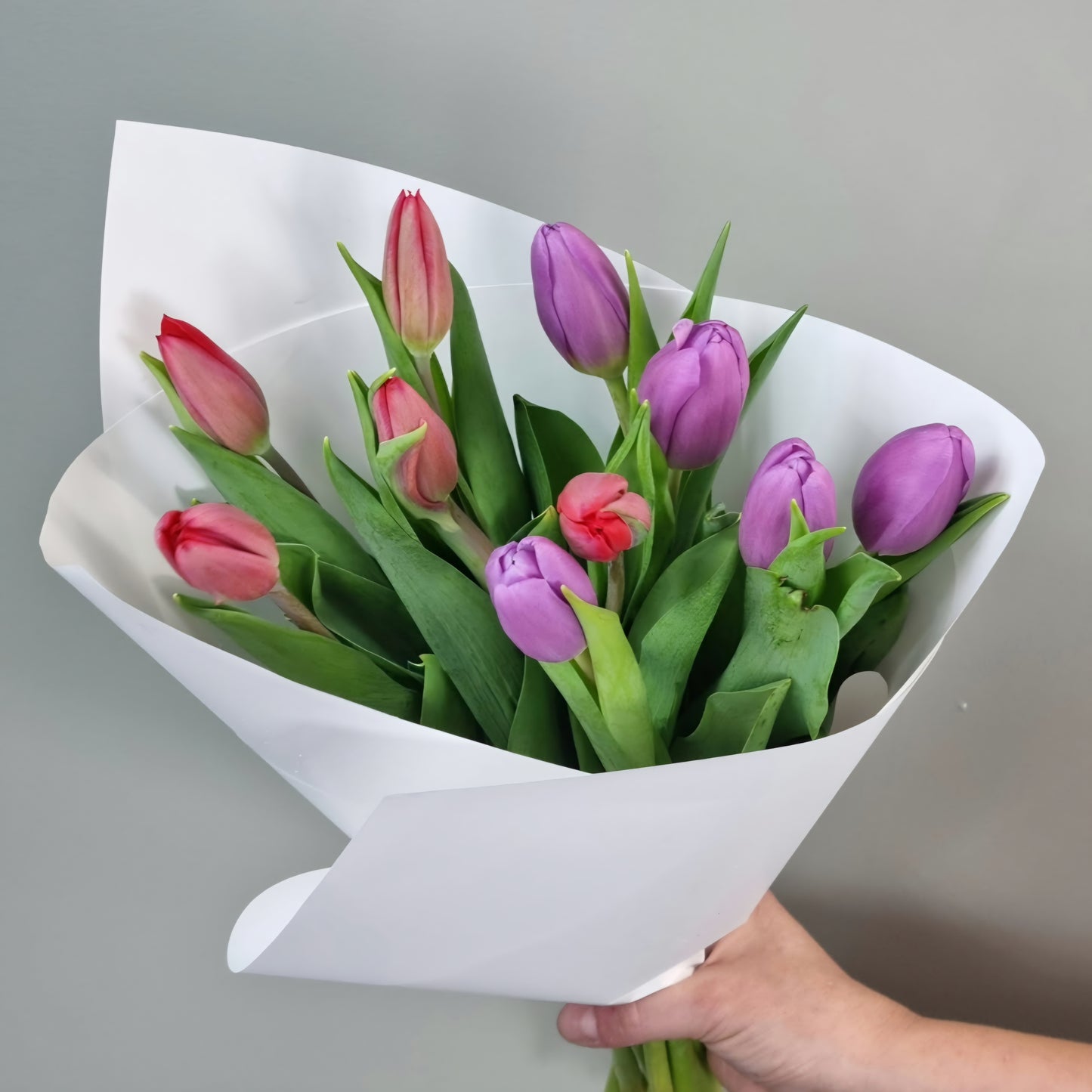 Lucky Dip Tulips - 2 bunches