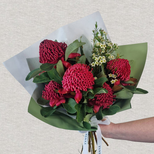 Wild Waratah Bouquet - 5 stem